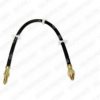 DELPHI LH0139 Brake Hose